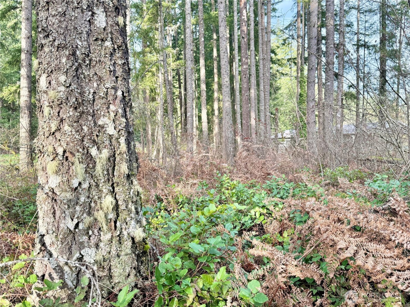 20403 SE 248th Street , Maple Valley, WA 98038