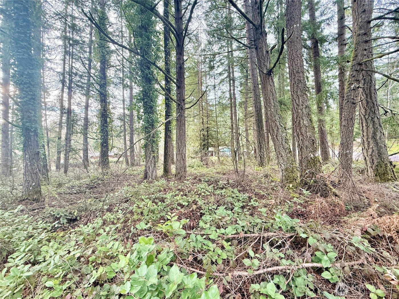 20403 SE 248th Street , Maple Valley, WA 98038