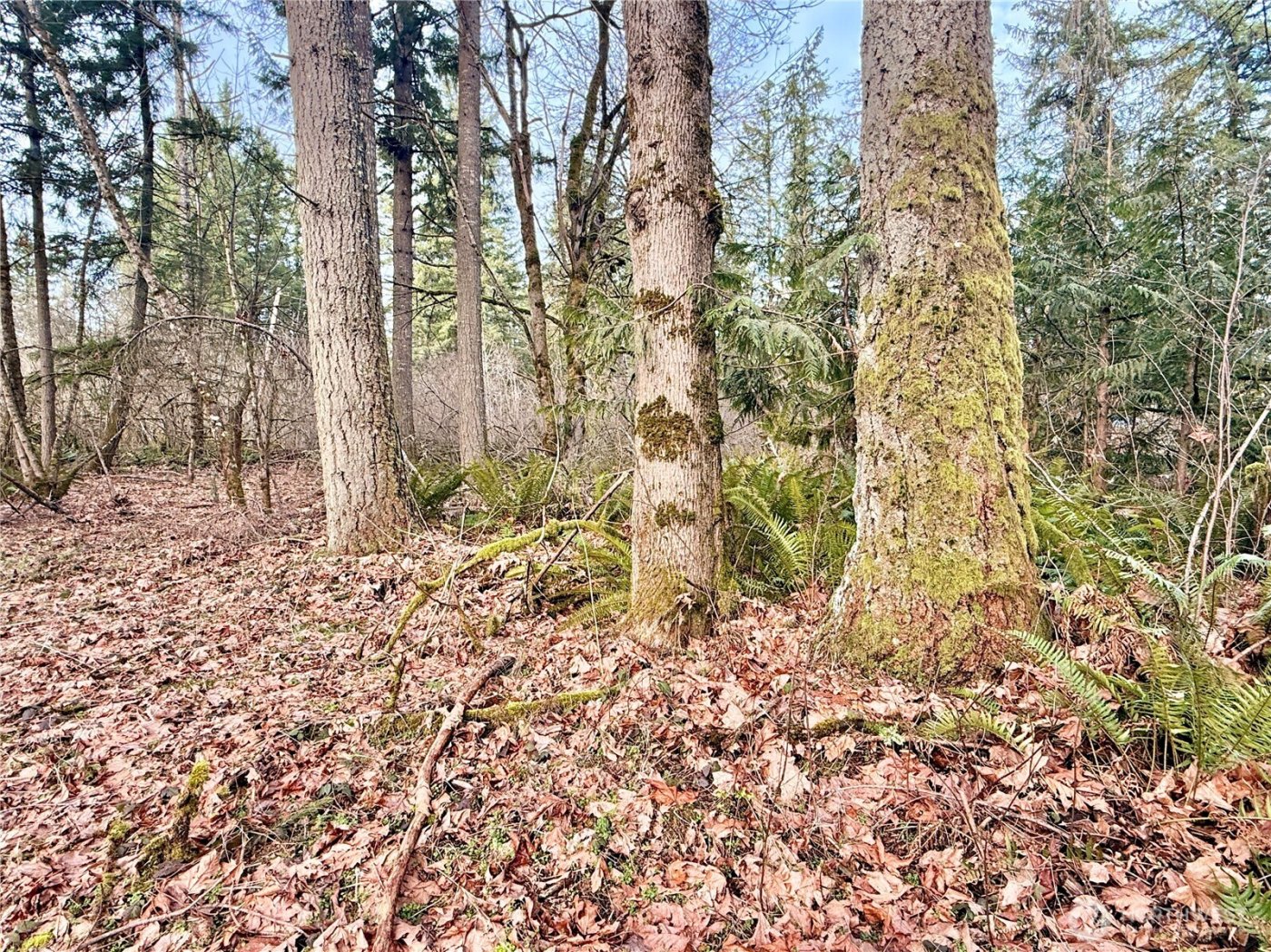 20403 SE 248th Street , Maple Valley, WA 98038