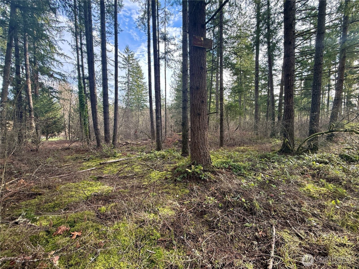 20403 SE 248th Street , Maple Valley, WA 98038