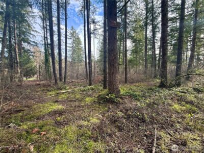 20403 SE 248th Street , Maple Valley, WA 98038 - Photo 22