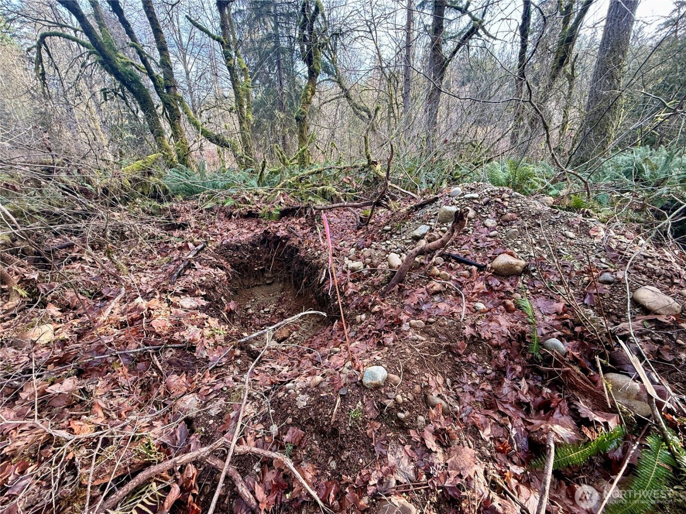 20403 SE 248th Street , Maple Valley, WA 98038