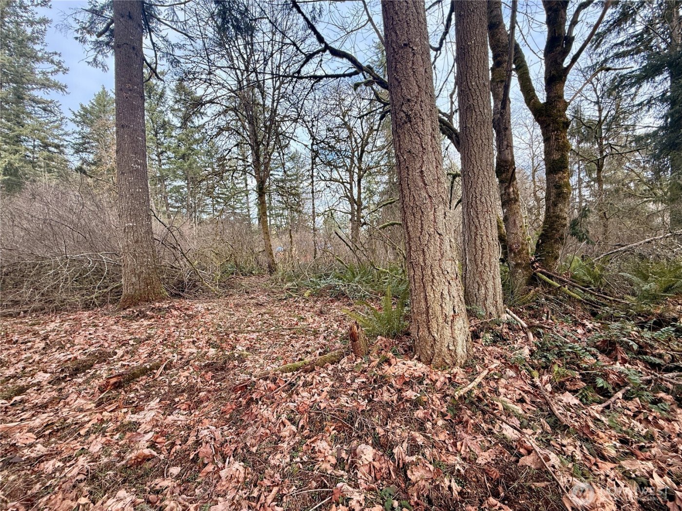 20403 SE 248th Street , Maple Valley, WA 98038