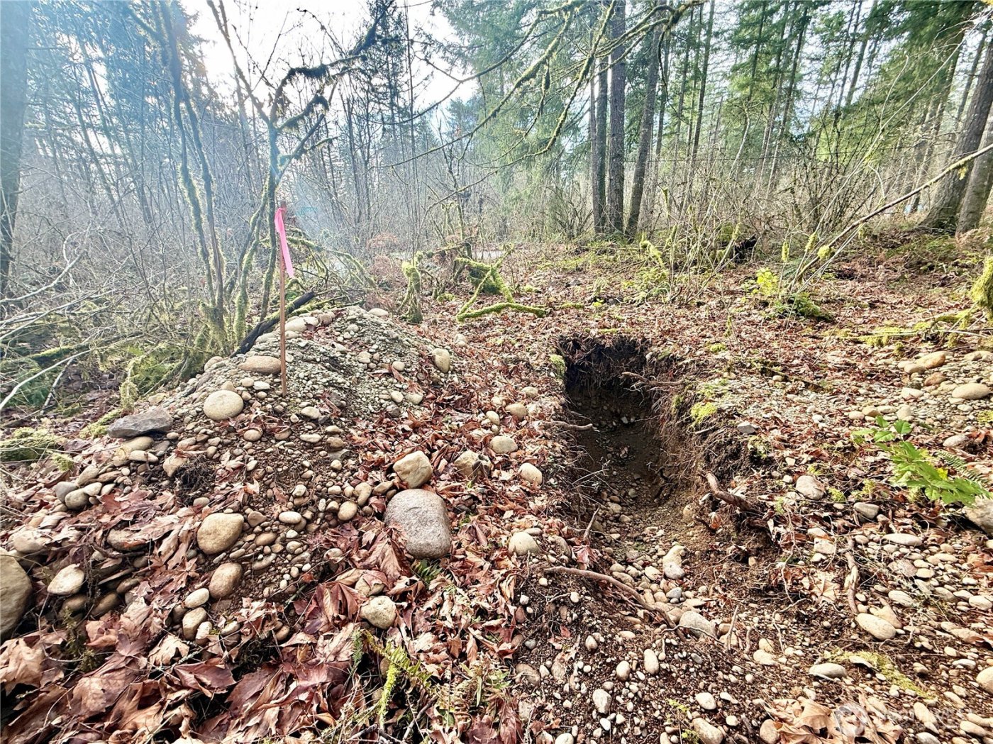 20403 SE 248th Street , Maple Valley, WA 98038