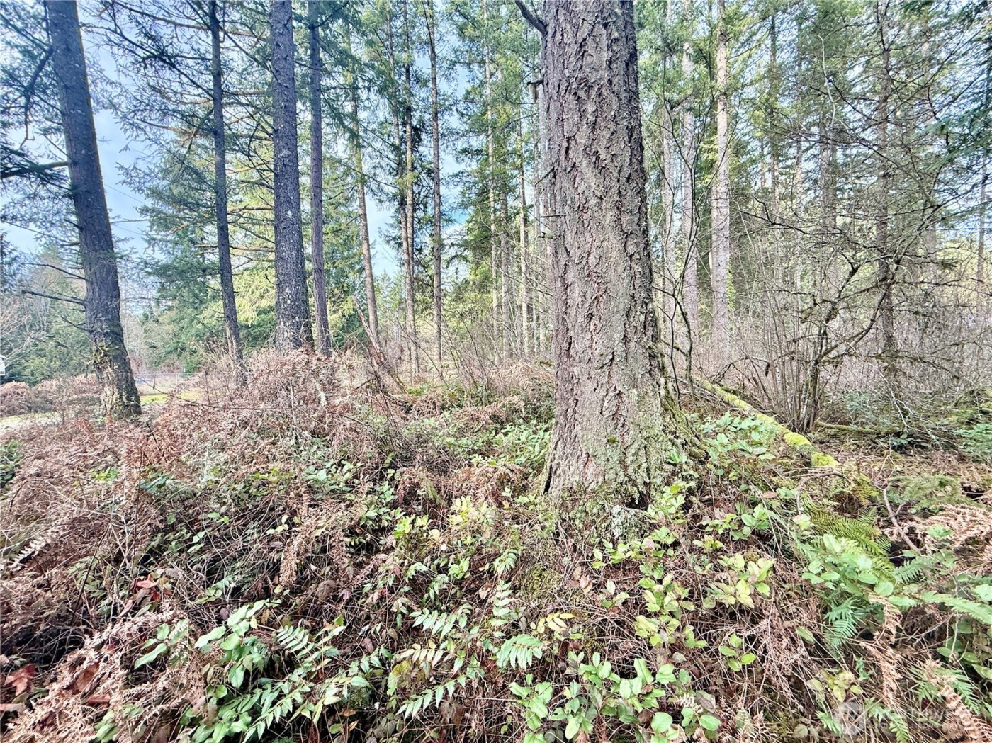 20403 SE 248th Street , Maple Valley, WA 98038