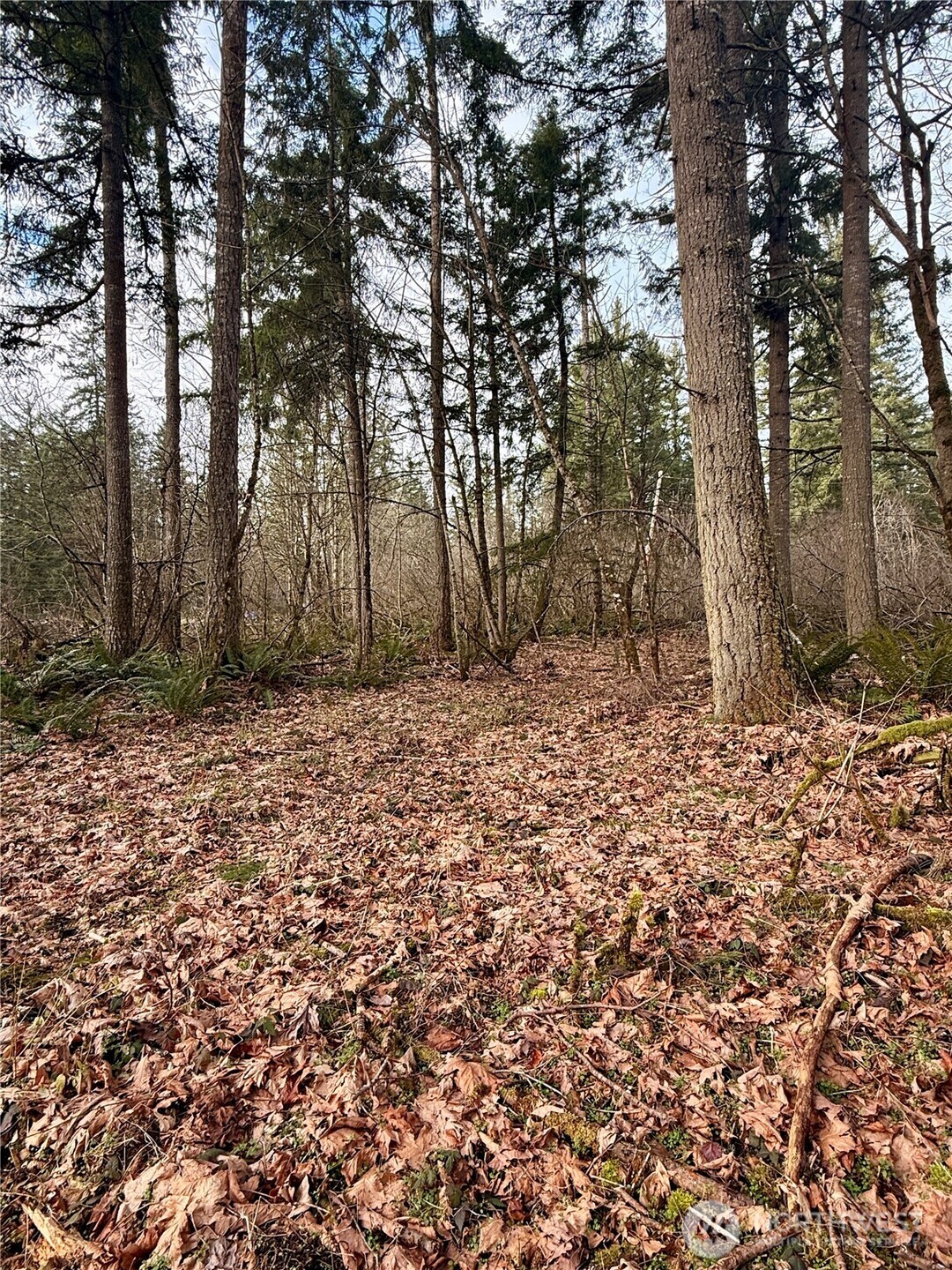 20403 SE 248th Street , Maple Valley, WA 98038