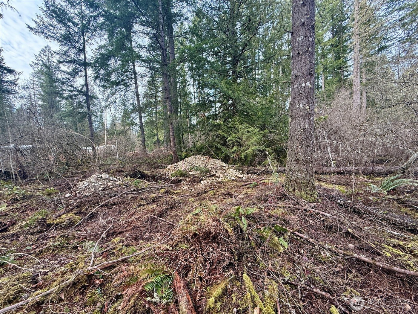 20403 SE 248th Street , Maple Valley, WA 98038