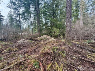 20403 SE 248th Street , Maple Valley, WA 98038 - Photo 36