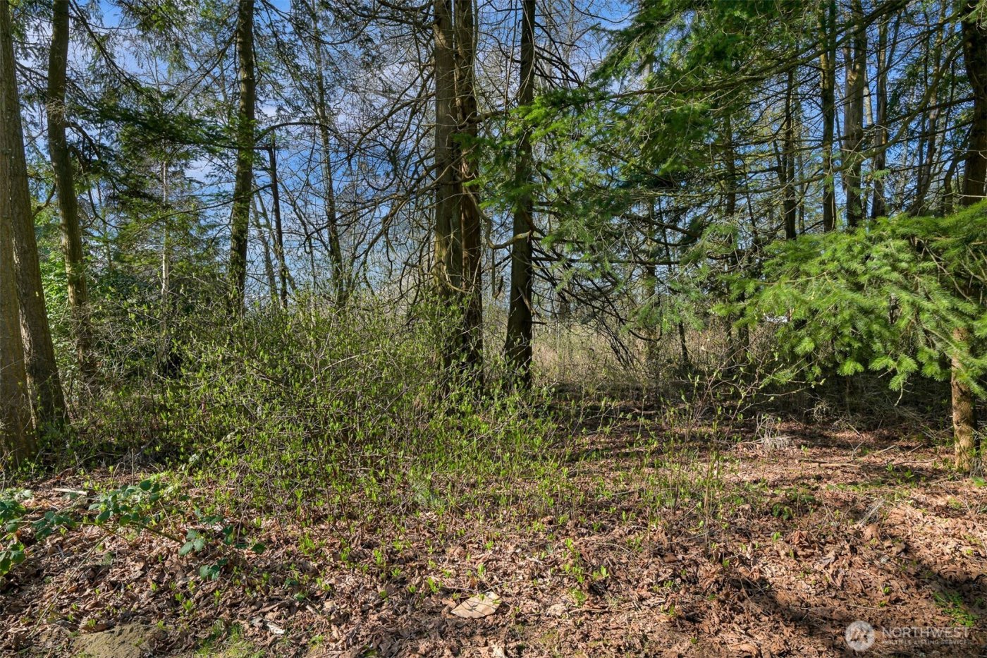 8385 Semiahmoo Drive , Blaine, WA 98230