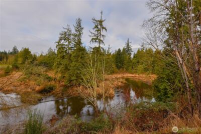 1407 Cedar Avenue , Marysville, WA 98270 - Photo 37