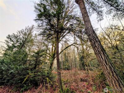 0 Whiteman Road SW, Lakebay, WA 98349 - Photo 2