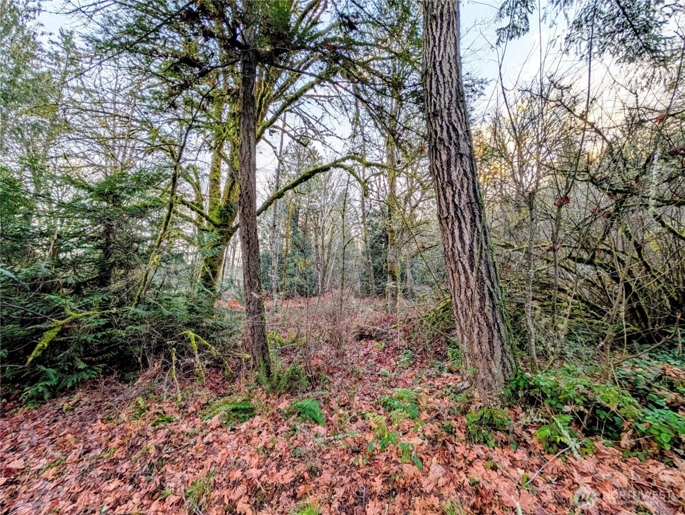 0 Whiteman Road SW, Lakebay, WA 98349