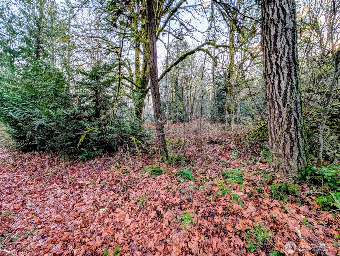 0 Whiteman Road SW, Lakebay, WA 98349