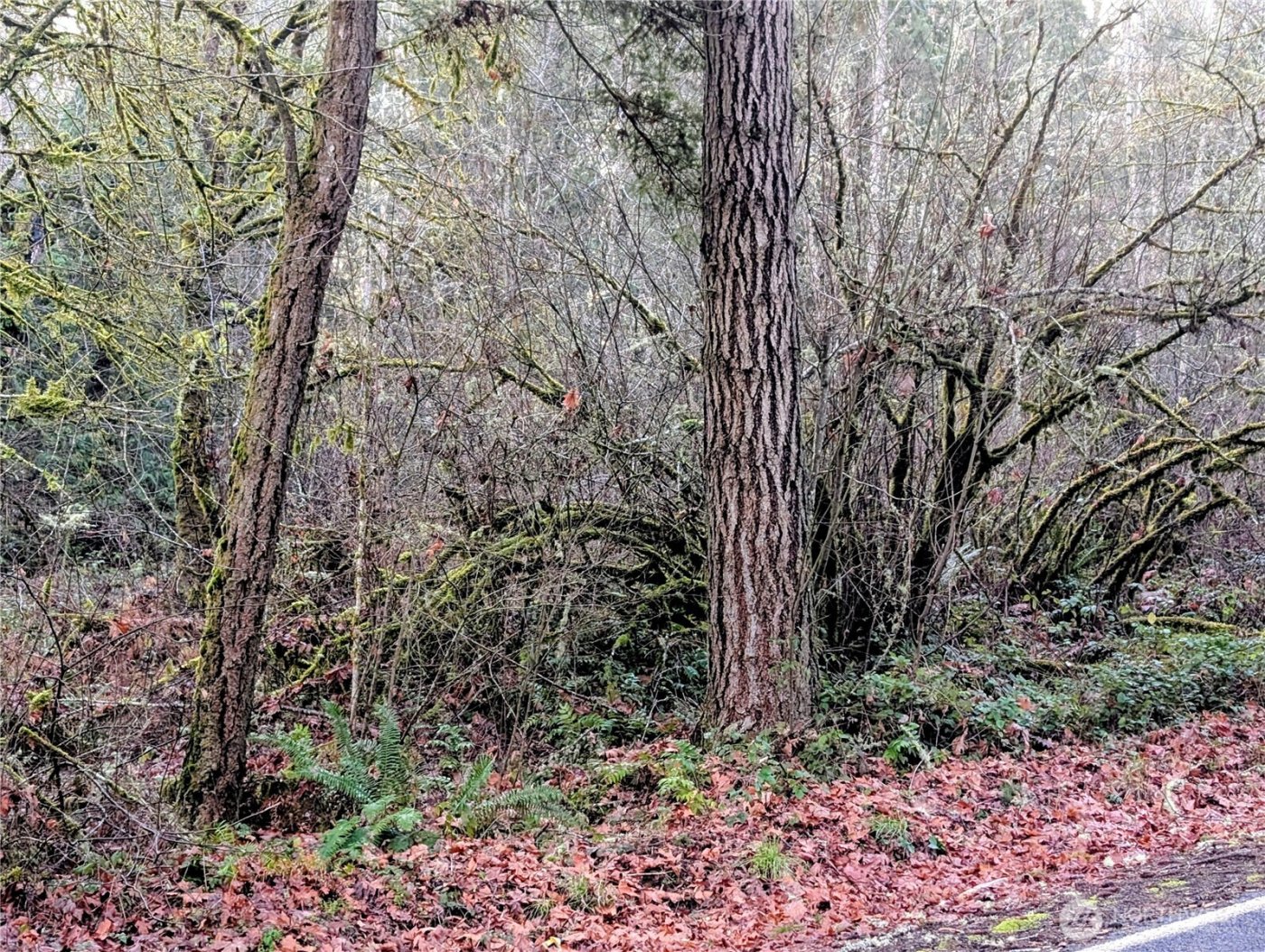 0 Whiteman Road SW, Lakebay, WA 98349