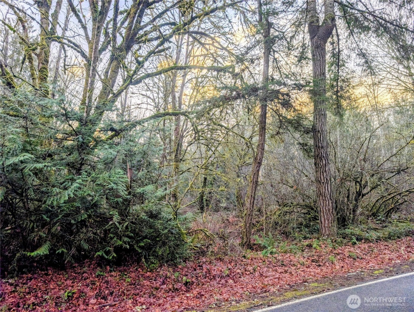 0 Whiteman Road SW, Lakebay, WA 98349