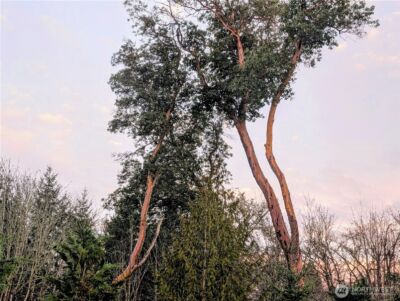 0 Whiteman Road SW, Lakebay, WA 98349 - Photo 8