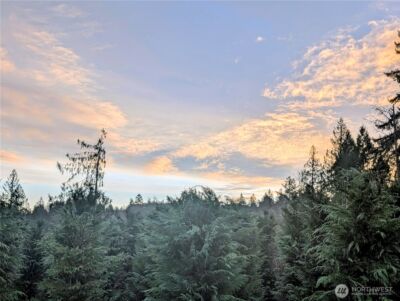 0 Whiteman Road SW, Lakebay, WA 98349 - Photo 9