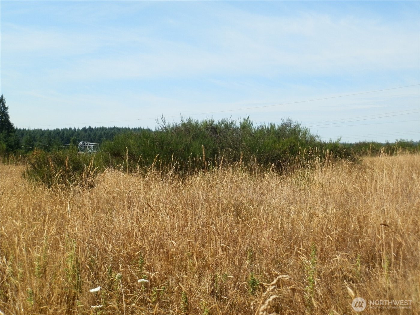 0 xx Maxine Drive , Winlock, WA 98596