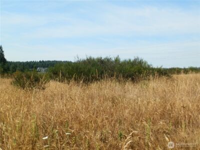 0 xx Maxine Drive , Winlock, WA 98596 - Photo 11