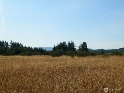 0 xx Maxine Drive , Winlock, WA 98596 - Photo 12
