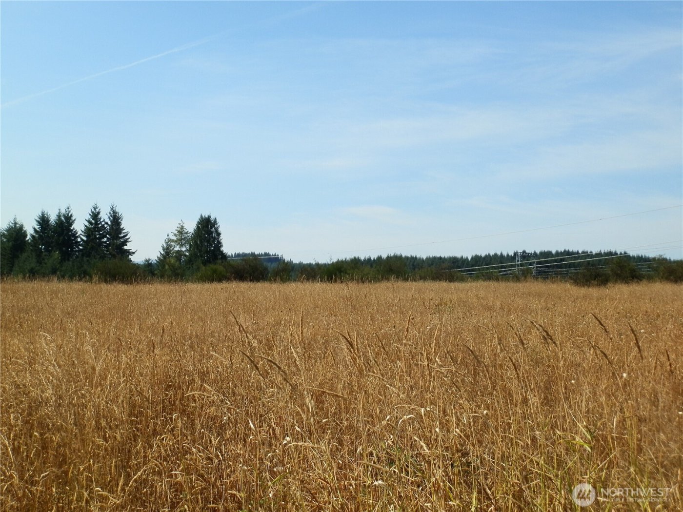 0 xx Maxine Drive , Winlock, WA 98596