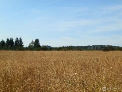 0 xx Maxine Drive , Winlock, WA 98596 - Photo 13