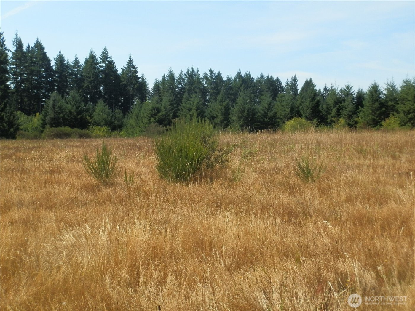 0 xx Maxine Drive , Winlock, WA 98596