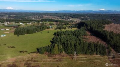 0 xx Maxine Drive , Winlock, WA 98596 - Photo 16