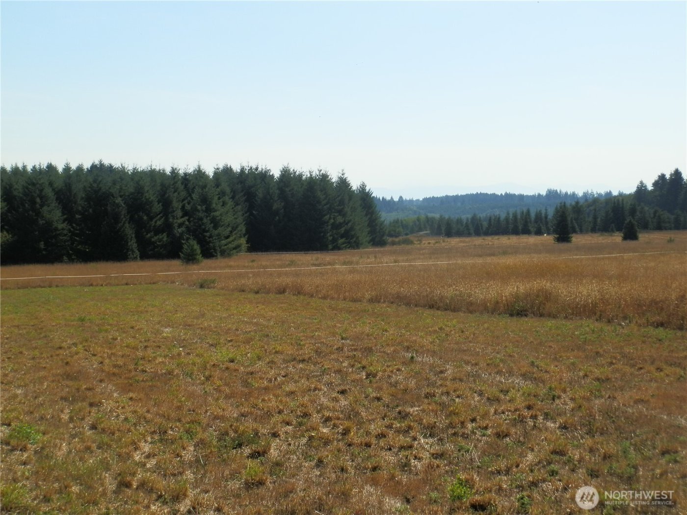 0 xx Maxine Drive , Winlock, WA 98596