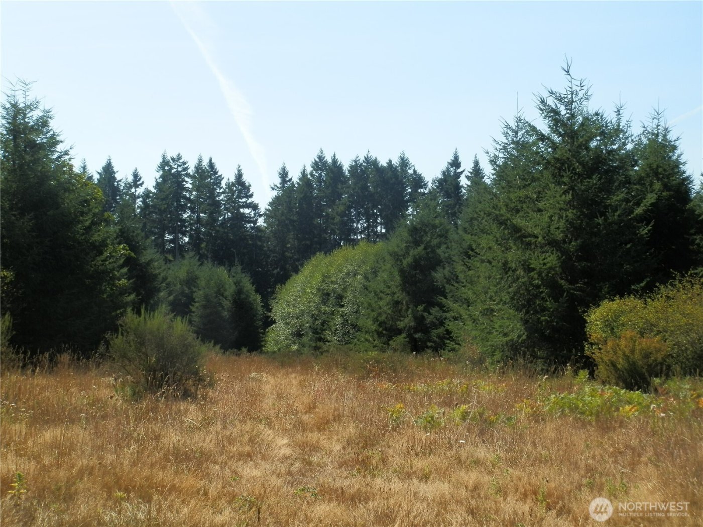 0 xx Maxine Drive , Winlock, WA 98596