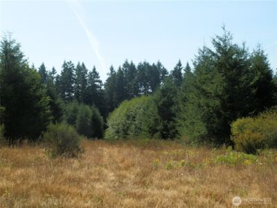 0 xx Maxine Drive , Winlock, WA 98596 - Photo 7