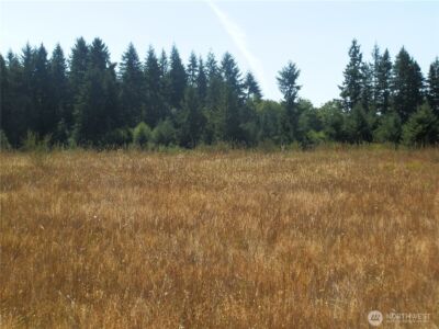 0 xx Maxine Drive , Winlock, WA 98596 - Photo 8