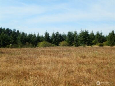 0 xx Maxine Drive , Winlock, WA 98596 - Photo 9