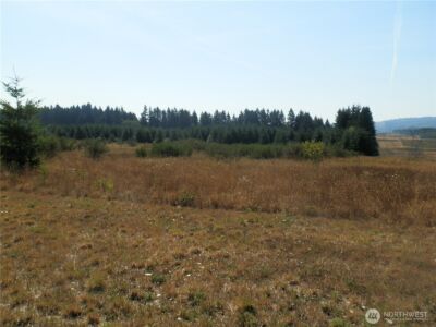 0 xx Maxine Drive , Winlock, WA 98596 - Photo 10