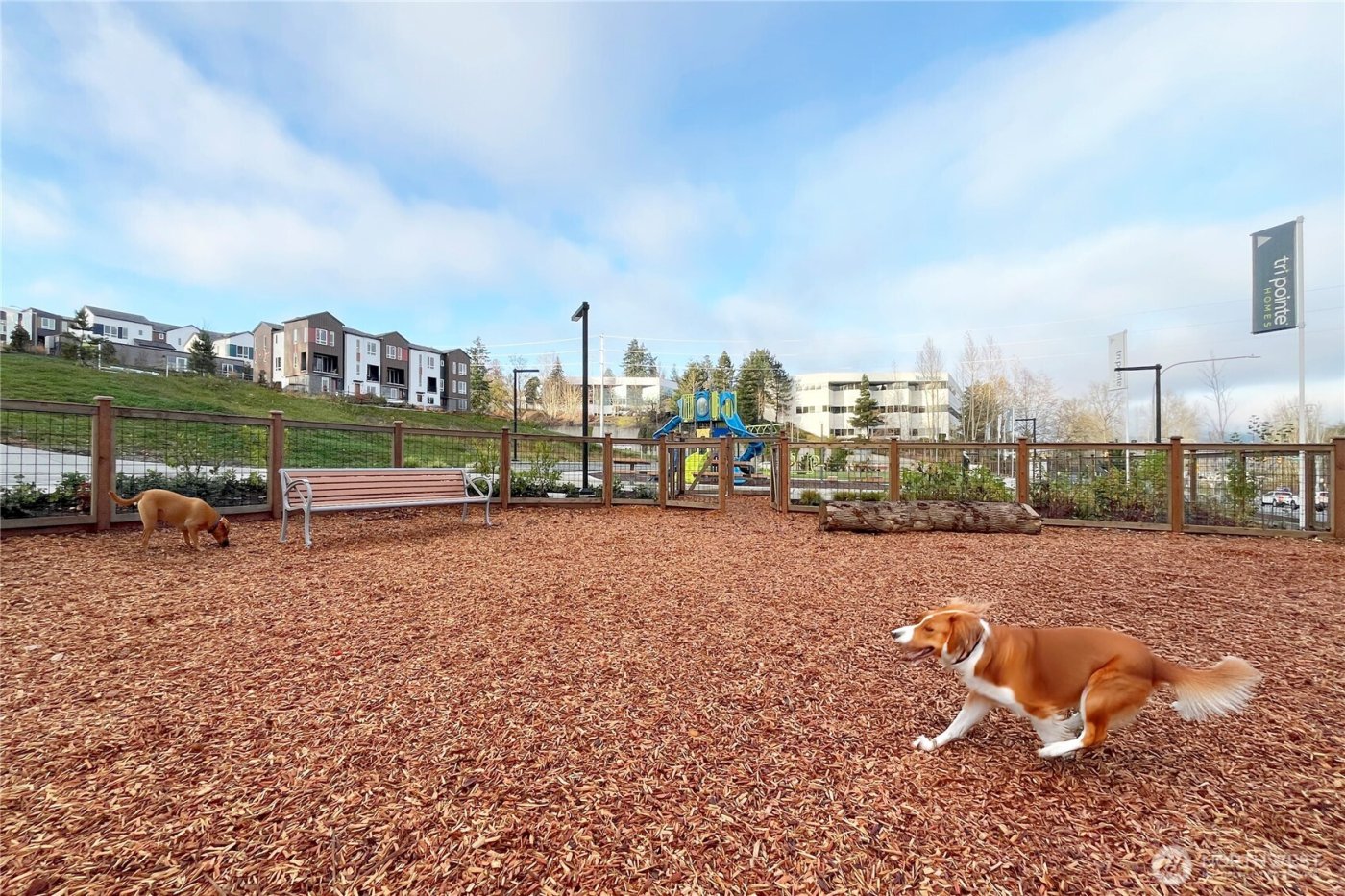 12217 137th Place NE #2704, Redmond, WA 98052