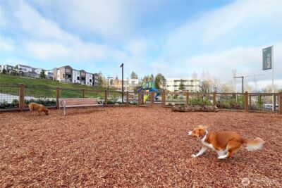 12217 137th Place NE #2704, Redmond, WA 98052 - Photo 33