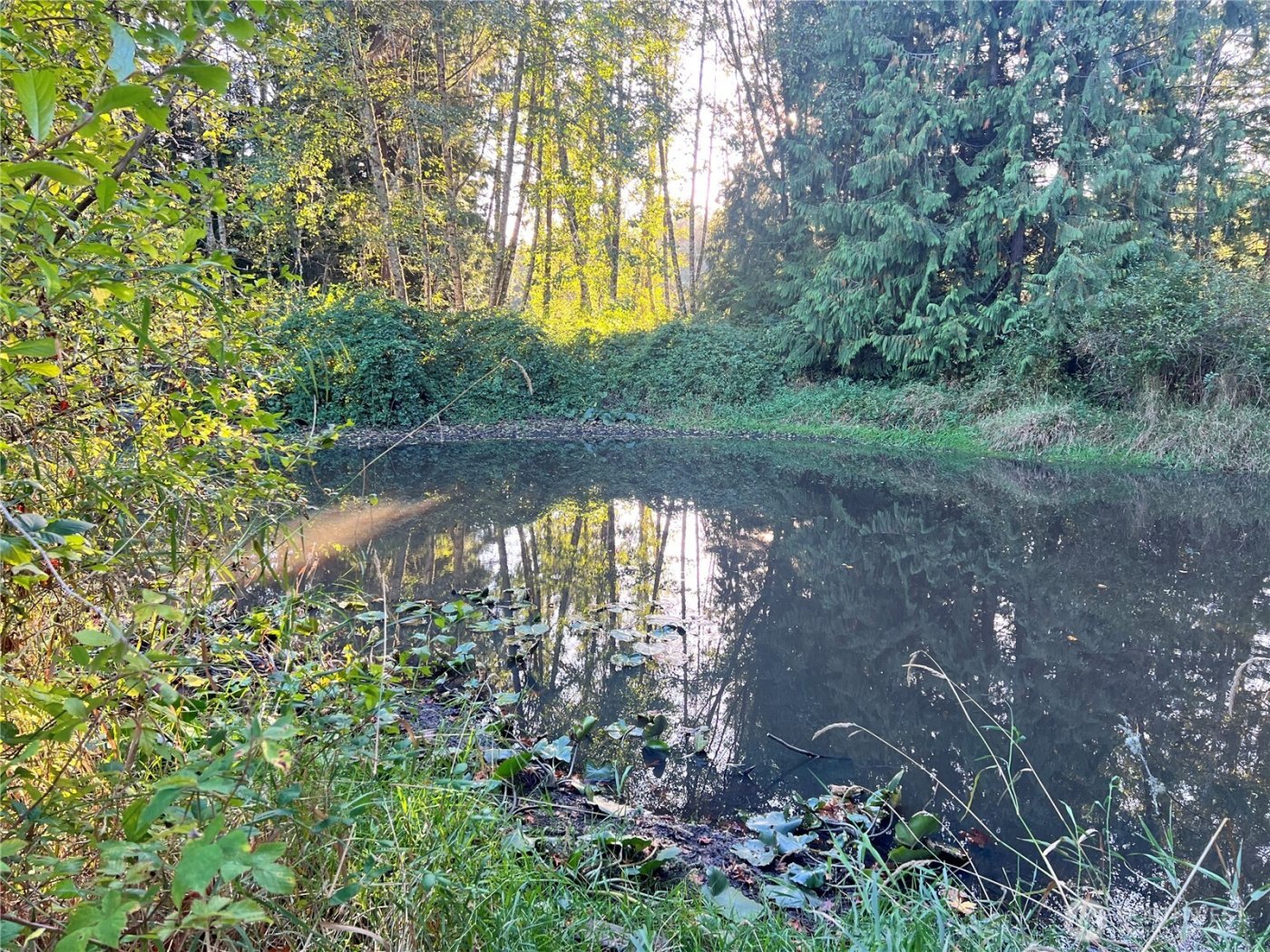 0 Wood Road , Bow, WA 98232