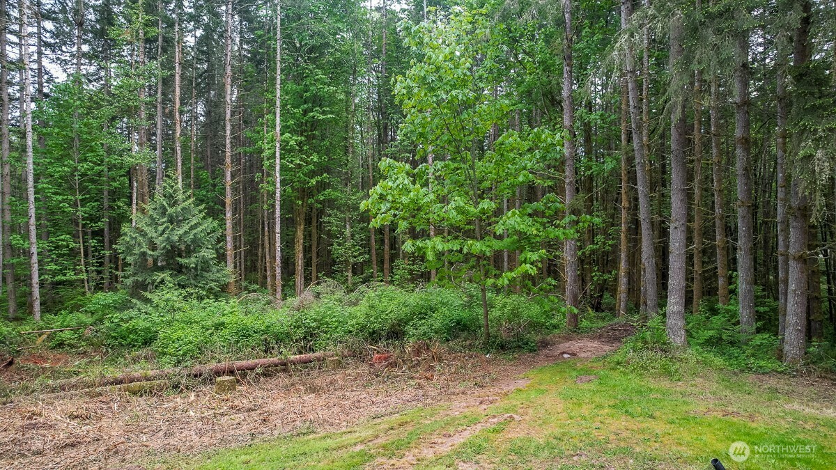3804 129th Place NW, Tulalip, WA 98271