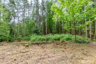 3804 129th Place NW, Tulalip, WA 98271 - Photo 9