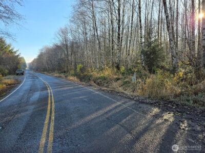 0 MP 15.8 North River Road , Cosmopolis, WA 98537 - Photo 1