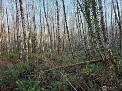 0 MP 15.8 North River Road , Cosmopolis, WA 98537 - Photo 5