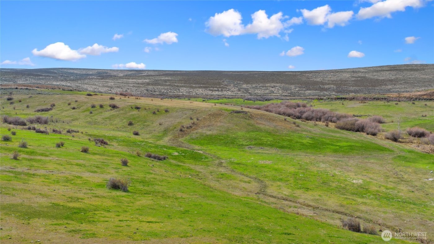 51 XX Trails End Drive , Ellensburg, WA 98926