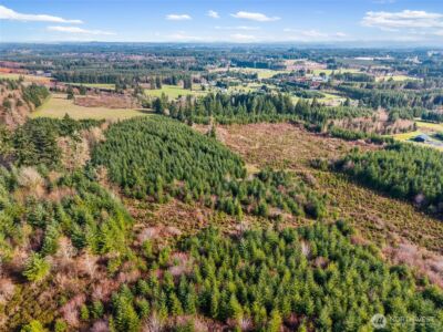 0 XXX Hale Road , Winlock, WA 98596 - Photo 11