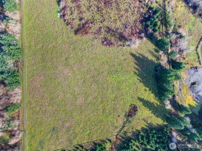 0 XXX Hale Road , Winlock, WA 98596 - Photo 13