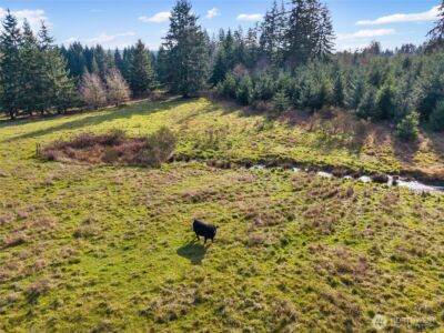 0 XXX Hale Road , Winlock, WA 98596 - Photo 19
