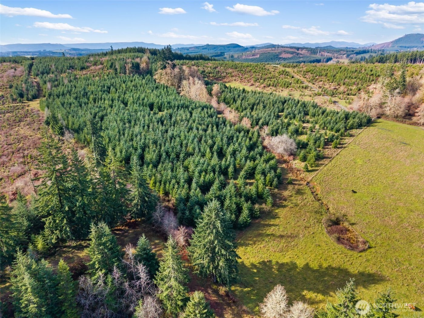 0 XXX Hale Road , Winlock, WA 98596