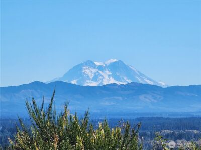 0 XXX Hale Road , Winlock, WA 98596 - Photo 2