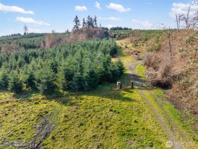 0 XXX Hale Road , Winlock, WA 98596 - Photo 23