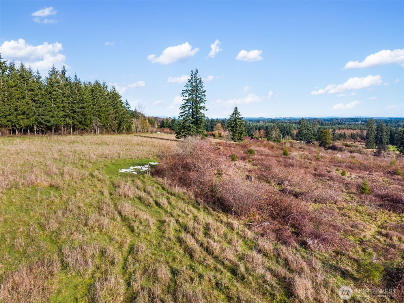 0 XXX Hale Road , Winlock, WA 98596