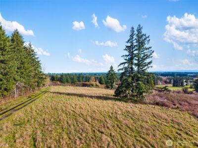 0 XXX Hale Road , Winlock, WA 98596 - Photo 25
